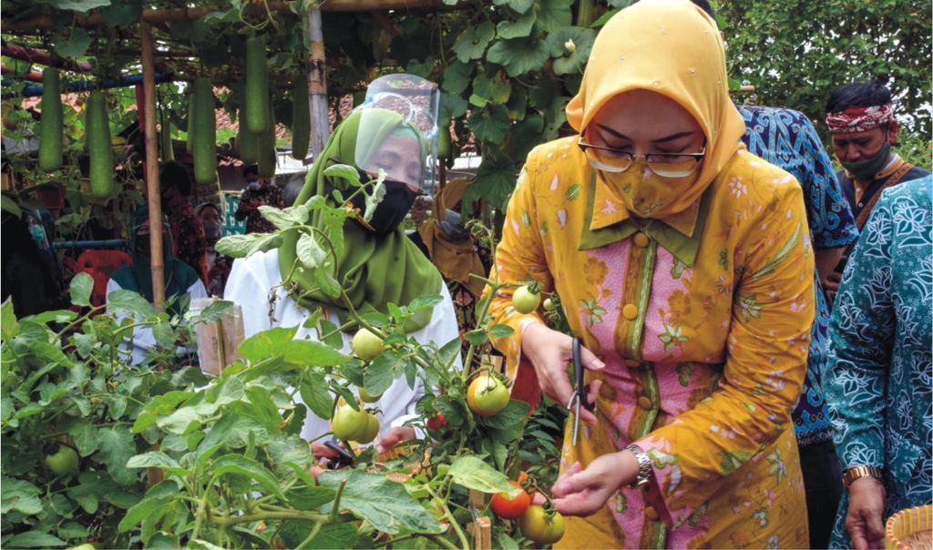 Hibar Eco Village Malang Nengah, Bukti Sayuran Tidak Hanya Tumbuh di Dataran Tinggi