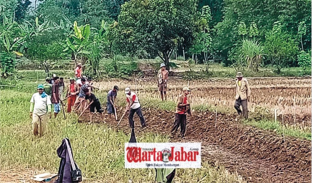Warga Kutalanggeng, Kec. Tegalwaru Gotong Royong Kerjakan JUT