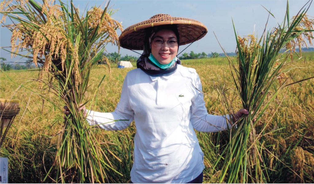 Pemkab Purwakarta Pastikan Pemenuhan Kebutuhan Pangan