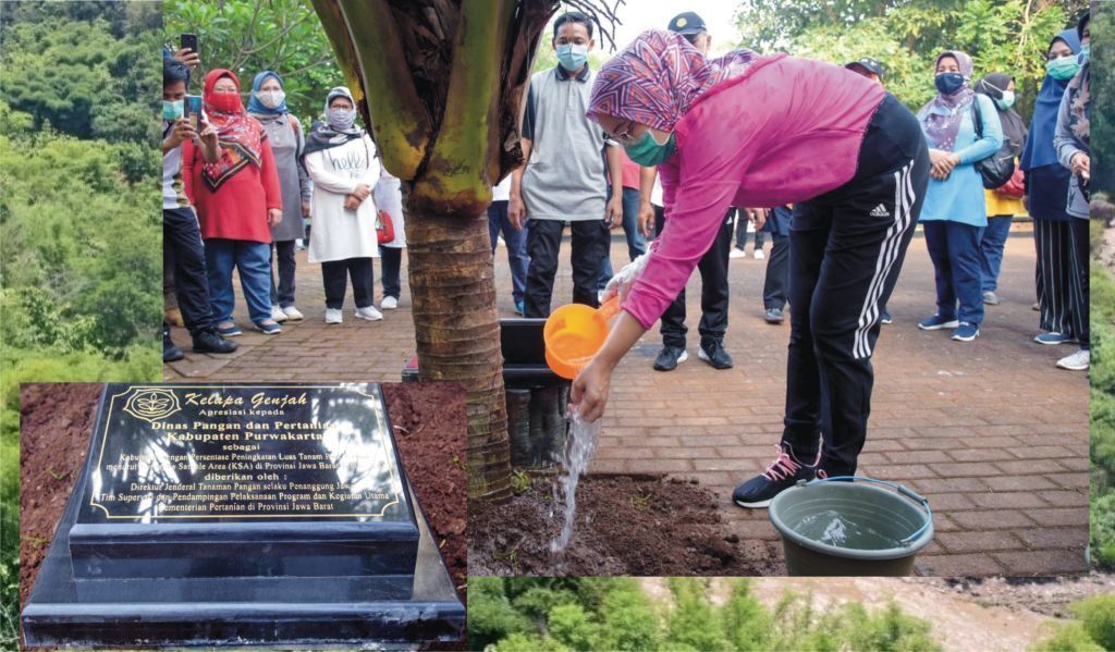 Luas Areal Tanam Meningkat, Purwakarta Dapat Penghargaan