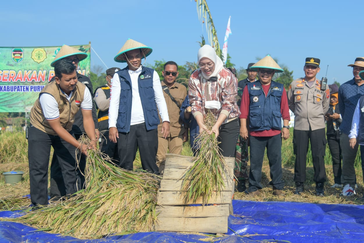 Bupati Purwakarta Anne Ratna Mustika dalam Acara panen Raya di Desa Cirende, Kecamatan Campaka