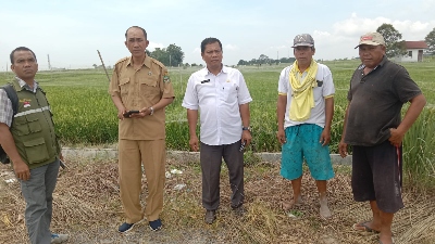 Program Penyuluhan Tingkat Petani Kecamatan Martoba Pematang Siantar Berjalan Dengan Efektif