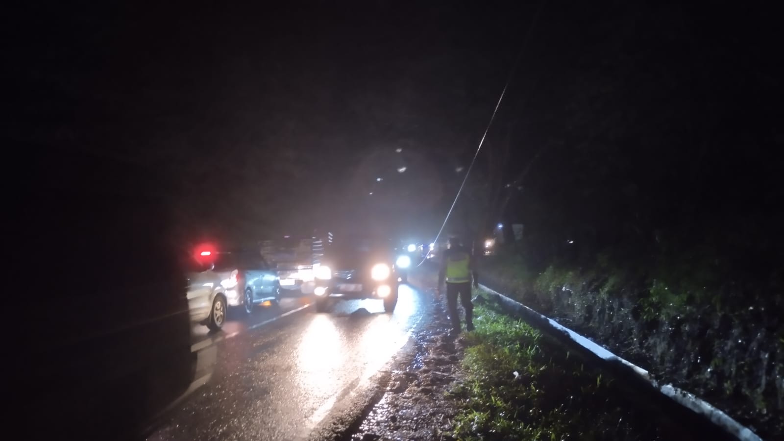 Pohon Tumbang di Jalan Parapat Sibagading, Akibatkan Macet Panjang
