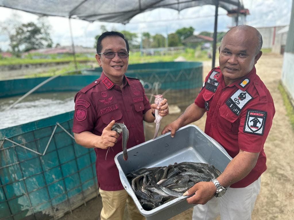 Bimbingan Kerja Buahkan Hasil, Lapas Kelas IIA Pematangsiantar Panen 300 KG Ikan Lele Budi Daya Warga Binaan