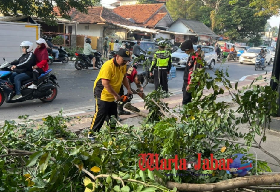 Respon Cepat Polres Purwakarta Saat Evakuasi Pohon Tumbang