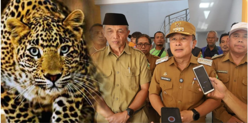 Bupati Dian Pastikan Macan Tutul di Balai Desa Berhasil Diamankan
