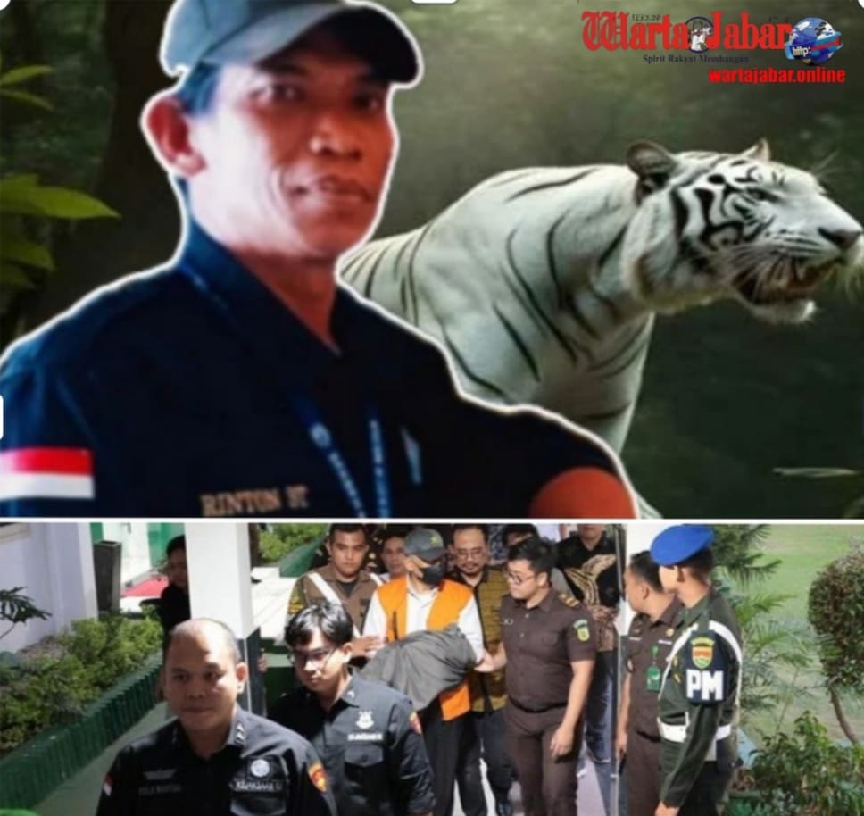 Eks Bupati Bengkulu Utara Jadi Tersangka Korupsi Tambang, MAUNG Minta Penyelidikan Mendalam
