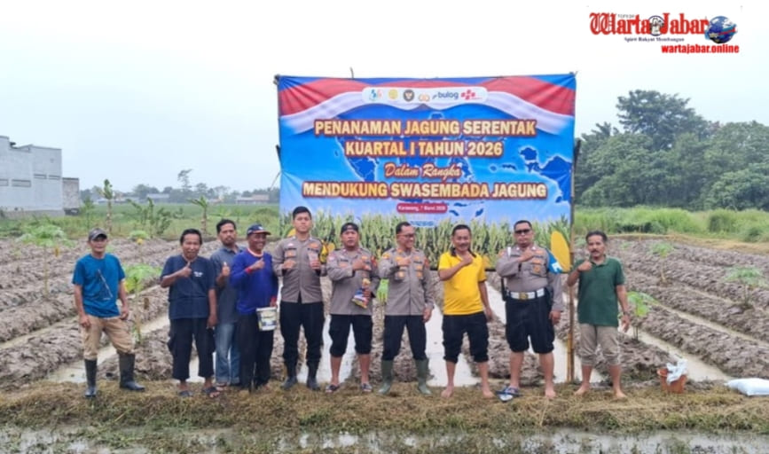 Perkuat Ketahanan Pangan Nasional, Satreskrim Polres Karawang dan Polsek Telagasari Kembangkan Jagung Hibrida