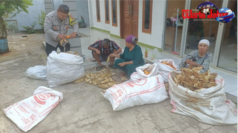 Bhabinkamtibmas Bantu Ibu-Ibu Petani Pascapanen Jagung, Wujud Nyata Dukungan Polri terhadap Ketahanan Pangan